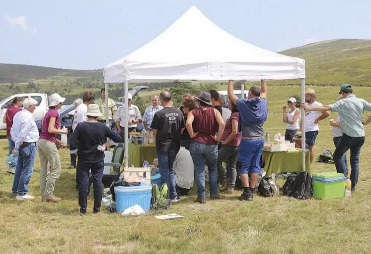 Jeudi 29 juillet, la fédération Gard Lozère s'est rassemblée sur l'estive du groupement de Finiels, au Mont-Lozère, pour discuter liens avec les agents du parc national des Cévennes (PNC), équilibre forestier et tourisme.