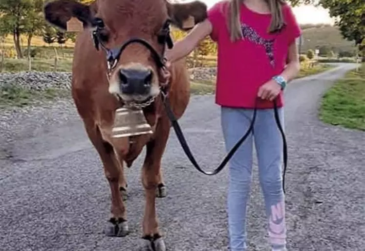 Vingt ans après sa première montée au salon de l'agriculture, Éric Chabalier revient à ce concours phare avec Nuageuse, une belle vache racée qui s'était déjà faite remarquer à Cournon.