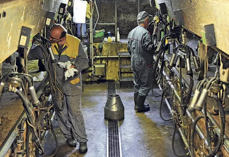 En salle de traite, on appréhende la pénibilité et la main d’œuvre.