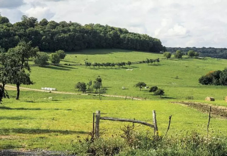 Dans un document envoyé aux professionnels, le ministère de l'Agriculture a dévoilé ses « axes » de travail pour la refonte de la HVE. Ils incluent notamment la suppression de la voie B d'accès à la certification.