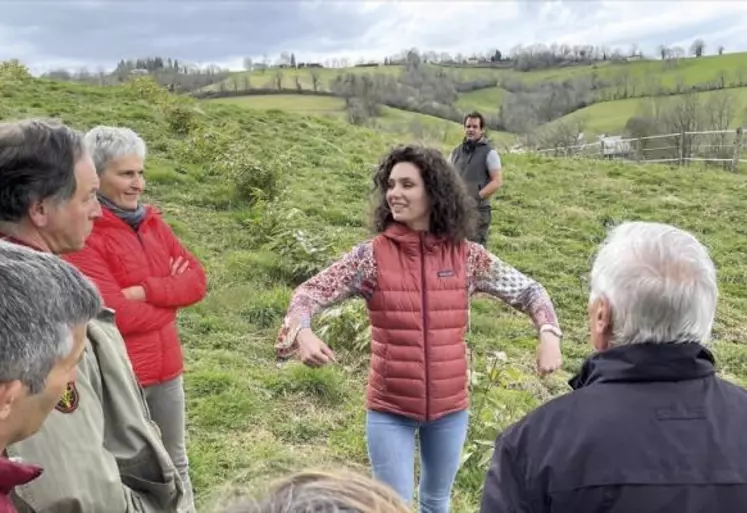 À Rébénacq (Pyrénées Atlantiques) en juin dernier, Manon Mounaix a planté 3 600 bambous. Bien loin des idées reçues que reflète cette herbe géante exotique, cette production propose d'alléchantes opportunités.