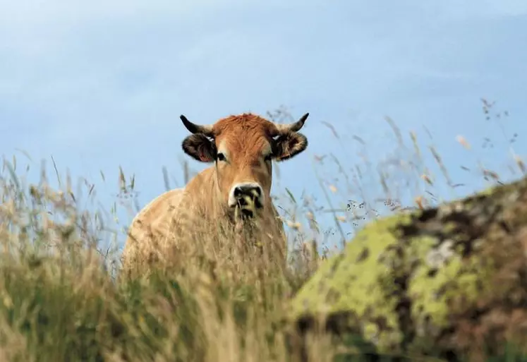 États membres et Parlement européen ont validé le transfert de 350 millions d'euros (sur les 497 millions disponibles) de la réserve de crise agricole pour financer l'aide d'urgence de 500 millions d'euros annoncée fin mars pour préserver le secteur agricole des conséquences de l'invasion de l'Ukraine par la Russie.