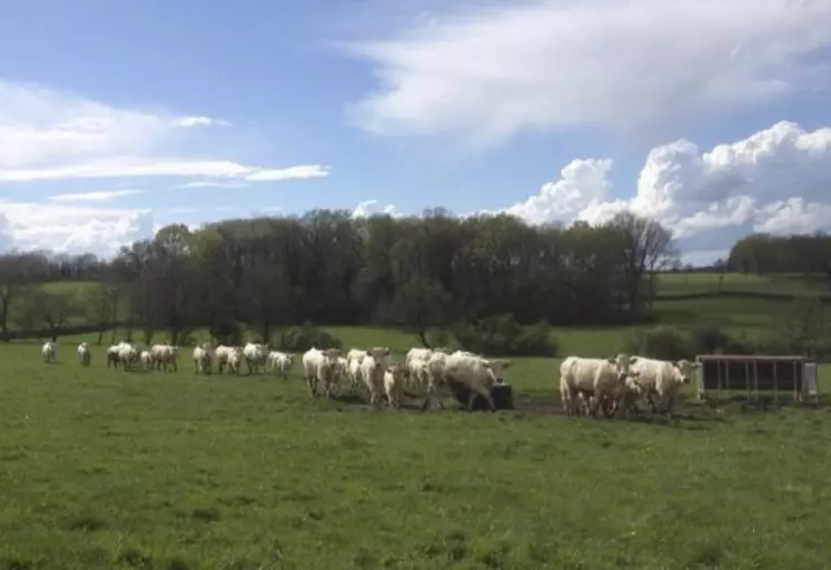 Il est temps de se préoccuper de son pâturage, et réaliser les aménagements nécessaires pour une bonne mise à l’herbe et un pâturage réussi.