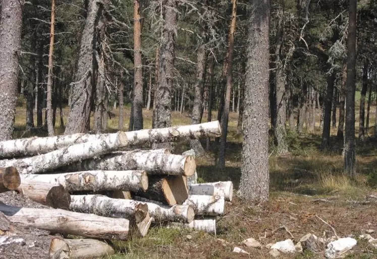 À l’initiative du Sidam, les acteurs de la forêt du Massif central* se sont réunis fin janvier pour comprendre en quoi l’outil AP3C (Adaptation des pratiques culturales au changement climatique) développé pour l’agriculture pouvait être transposable au secteur forestier.