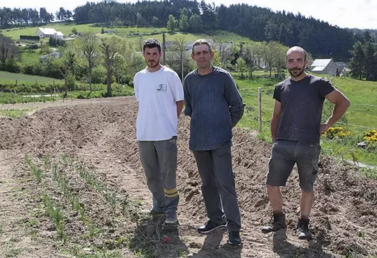 Huit producteurs de Margeride se sont réunis dans une association pour proposer aux consommateurs locaux un panier maraîcher composé de pommes de terre, carottes, oignons et raves.