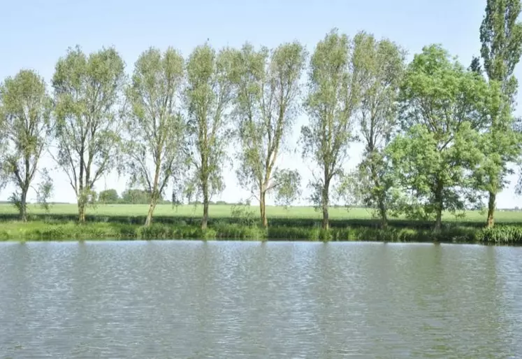 Une séance de la commission locale de l'eau Tarn-amont et du comité de rivière, présidée par Gilbert Faucher, s'est tenue à Verrières, le 1er décembre. Afin d'informer le plus grand nombre, le bureau de la CLE avait choisi de l'organiser sous format élargi.