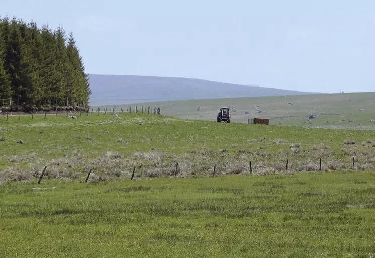 Modernisation des abattoirs, diminution des intrants, structuration des filières. Une petite moitié du plan de relance agricole a été détaillée par le ministère de l’Agriculture le 17 novembre, couvrant des aides instruites par FranceAgriMer dont les guichets s’ouvriront à partir de novembre – selon les mesures – pour rester ouverts jusqu’en 2022.