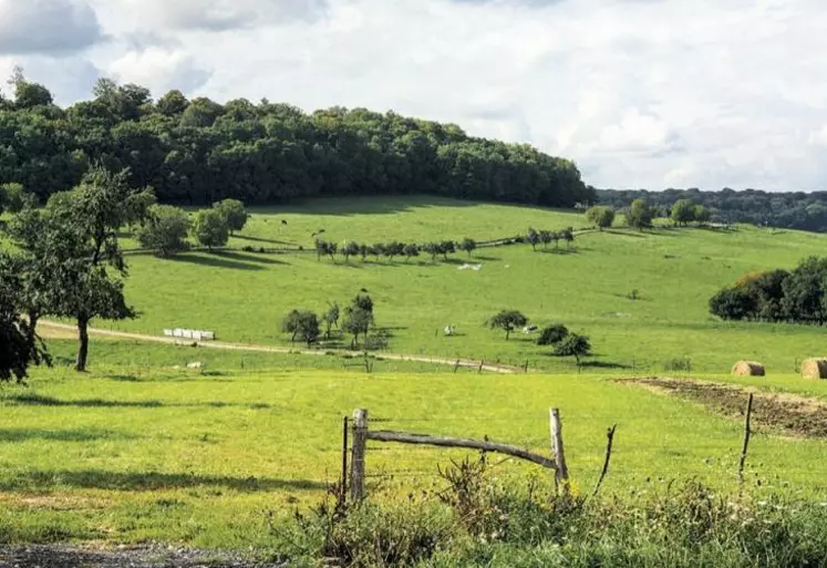 Après de premiers ajustements en commission des Affaires économiques, le Sénat a apporté sa dernière touche au projet de loi sur la gestion des risques climatiques. Une ultime négociation aura lieu avec les députés en commission mixte paritaire (CMP) dans une semaine.