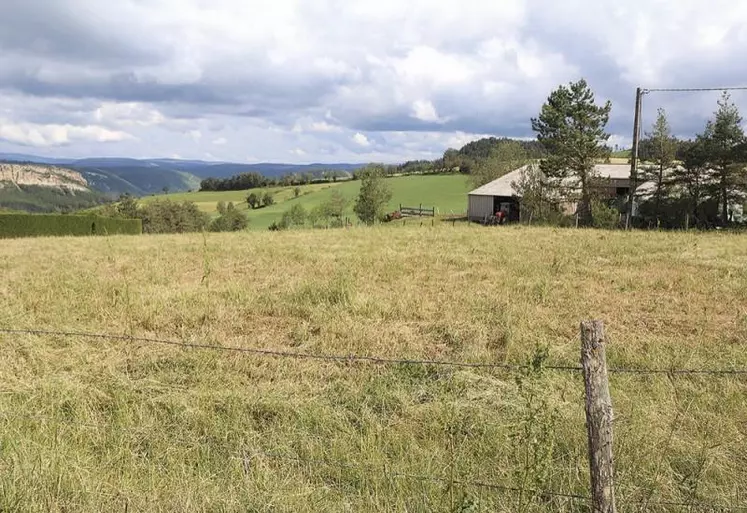 En 2019, les exploitations lozériennes ont été touchées par un épisode de grêle en juin, suivi d’un été caniculaire, entraînant des baisses de rendement fourrager. Les dossiers de demande peuvent être déposés auprès de la DDT jusqu’au 31 juillet.