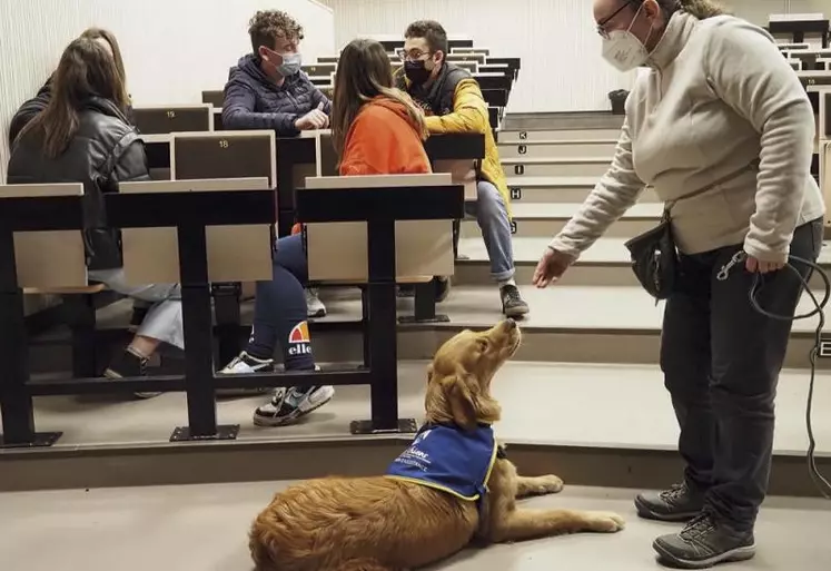 Depuis un an, Florence Thillard, enseignante du lycée agricole de La Côte-Saint-André (Isère) a fait entrer dans l'établissement un chien d'assistance aux personnes handicapées, lui aussi en formation.
