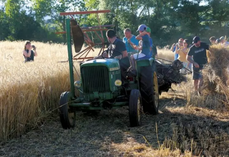 Dimanche 31 juillet, à Marvejols, aura lieu la 13e édition de la fête occitane. Une journée pour célébrer la langue occitane et l’agriculture, organisée par l’association Espoir Oc.