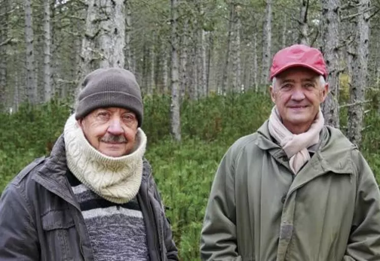 Retraités agricoles, Bernard Vedrines et son frère Michel ont connu leur forêt de pin noir d’Autriche depuis leur plantation dans les années 60 par leurs aïeuls. Aujourd’hui à maturité, le boisement arrive à des choix pour son avenir.
