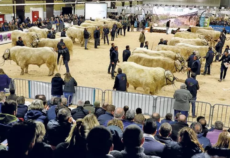 Ambiance lors de la finale nationale des concours de la race charolaise lors de l'édition 2021.