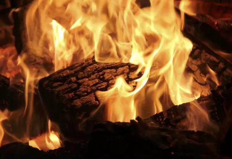 Les Français n’hésitent plus à recourir au bois pour se chauffer.