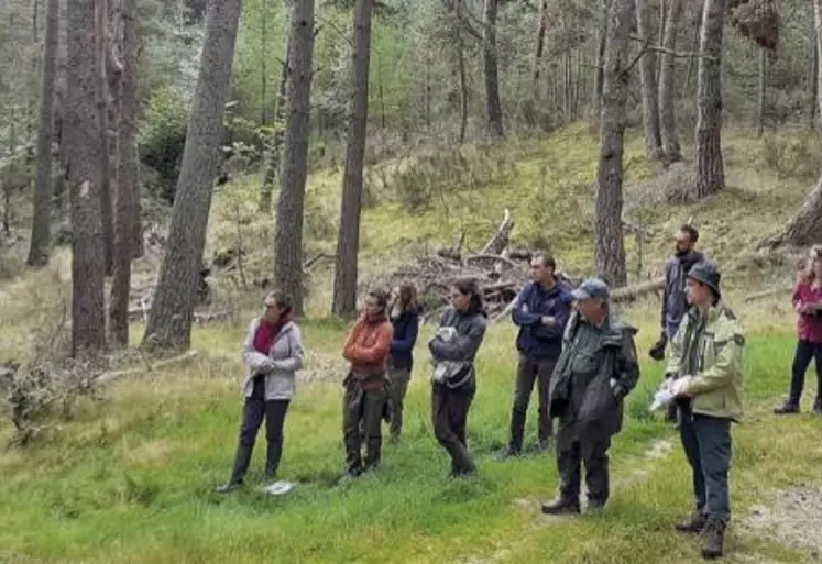 Encore peu répandue dans le Massif Central, la gestion forestière en couvert continu intéresse de plus en plus d’acteurs de la forêt. Au point d’organiser ce 14 septembre une journée technique et d’échanges en Margeride.