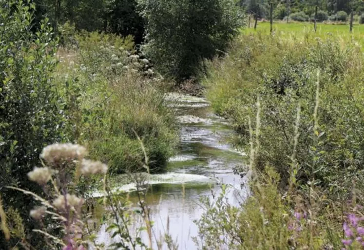 La situation des nappes phréatiques à fin mai est globalement satisfaisante, avec des niveaux proches des moyennes mensuelles à modérément bas, avec toutefois la persistance de déficits, selon le dernier rapport du BRGM (Bureau de recherches géologiques et minières).