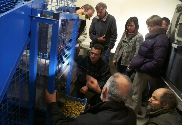 La machine à éplucher les châtaignes.