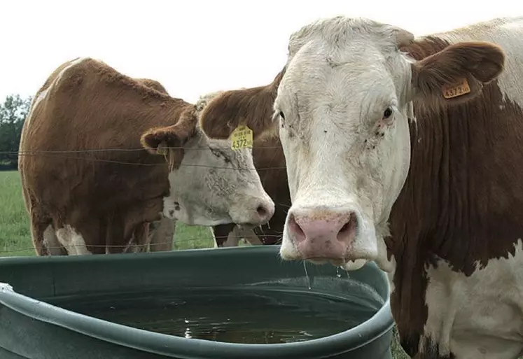 La charte des bonnes pratiques d’élevage recommande une analyse d’eau par an.