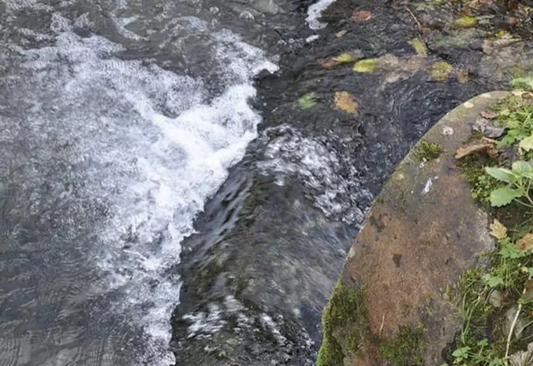 L'Agence de l'eau Seine-Normandie a présenté le 26 novembre son bilan annuel. Le nombre de captages dégradés se réduit, mais des problèmes subsistent sur les nitrates et les pesticides. La solution, estiment les représentants de l'Agence, viendra de la complémentarité entre politiques locales et nationales.