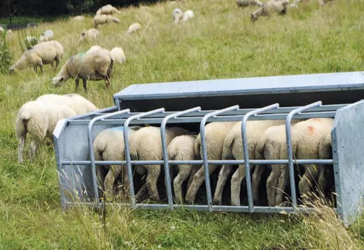 La fréquentation du nourrisseur est liée à la qualité de l’herbe disponible.