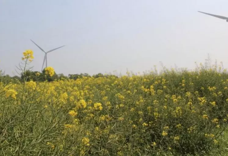 Le plan de compétitivité et de modernisation des exploitations agricoles prévoit un volet consacré aux économies d'énergie et à la production d'énergie renouvelable.