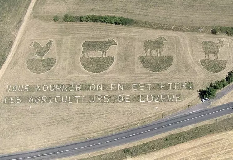 Un coq, une vache, une brebis et une chèvre sont apparus dans le champ d’André Boiral. Une vingtaine d’agriculteurs de la FDSEA ont mis la main à la pâte.