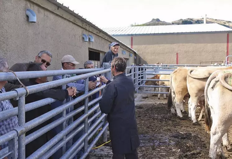 Vendre ses animaux sur sa ferme, c’est le principe de cette journée lozérienne.