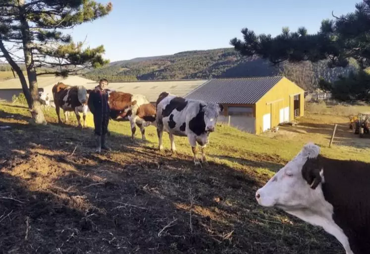 Installé à Allenc, Christophe Jaffuer élève des vaches laitières et allaitantes. En 2017, il décide de convertir l’exploitation en agriculture bio pour gagner en sérénité. Aujourd’hui il ne regrette pas son choix, et envisage l’avenir avec un peu moins d’allaitantes et plus de lait.