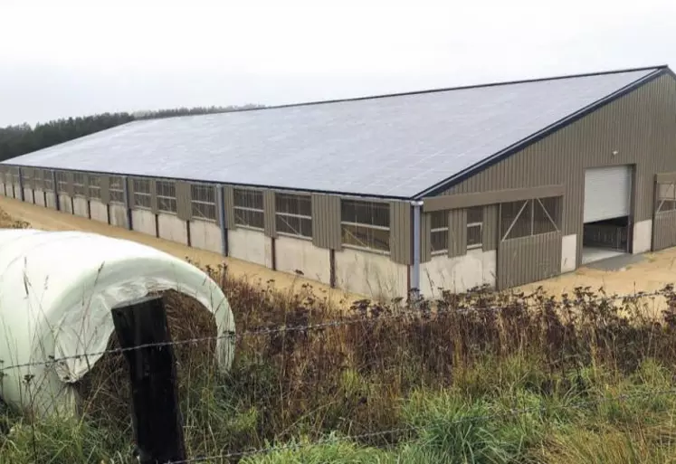 1 600 m² de panneaux solaires recouvrent le nouveau bâtiment du Gaec.