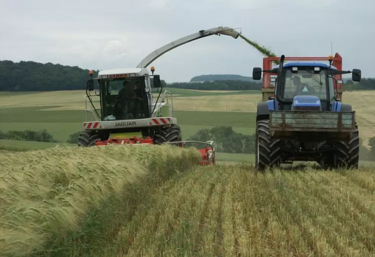 L’ensilage ou l’enrubannage de céréales immatures est possible sur les secteurs d’altitude.