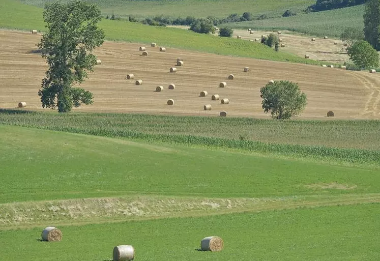 La crise sanitaire a donné un sérieux coup de frein au marché foncier rural en 2020 en termes d'étendue des surfaces échangées, mais pas en termes de prix, a indiqué la Fédération des Safer (FNSafer) le 27 mai.