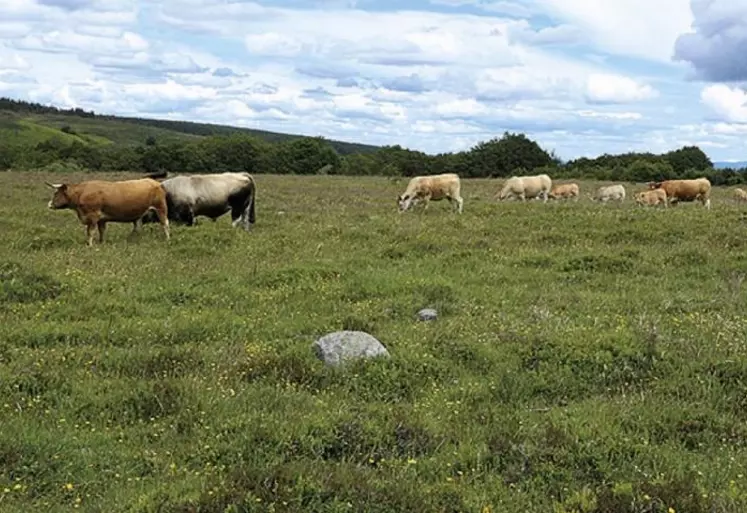 L’agriculture en bref, petit fascicule publié tous les trois ans, permet de suivre les évolutions par département de la filière. Cette année, l’agritourisme et les circuits courts y ont été développés pour la première fois.