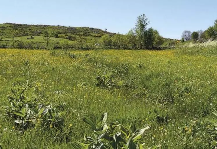 L’offre de formation de la chambre d’agriculture de Lozère s’enrichit régulièrement et s’adresse aussi aux salariés agricoles.