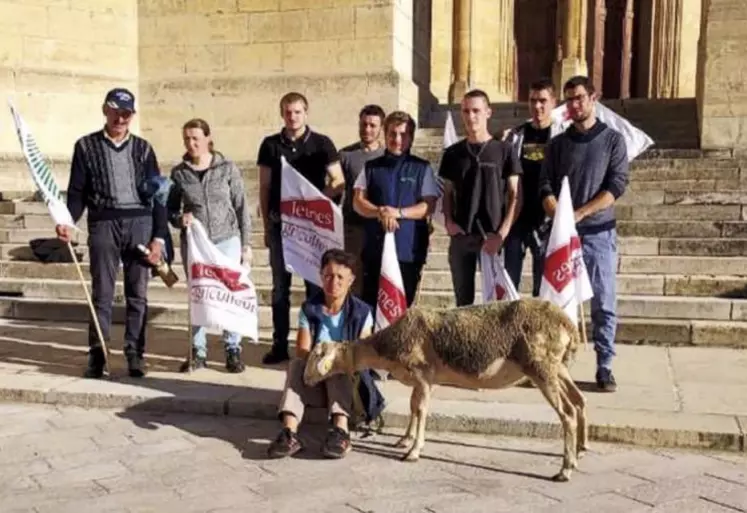 Les syndicats de la FDSEA et des JA ont rencontré à Mende, vendredi 15 octobre, la préfète de la Lozère, les élus du PNC et les agents de l'OFB pour discuter de la prédation dans le département. Cette rencontre fait écho à celle organisée le même jour à la préfecture du Rhône avec le préfet coordonnateur loup, Pascal Mailhos.