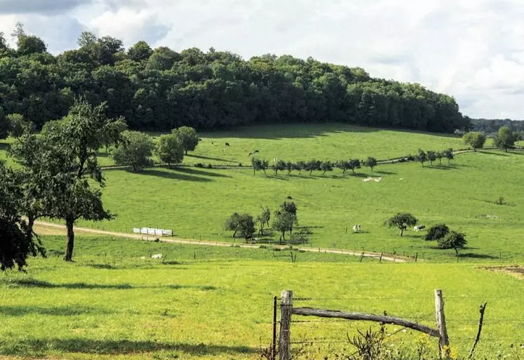 Une première version de la déclinaison française de la Pac a été envoyée à l'Autorité environnementale fin juillet, et présentée aux parties prenantes le 9 septembre, sans nouvel arbitrage d'ampleur. Mais l'ensemble des déclinaisons régionales au titre du second pilier ne sera pas connu avant fin novembre, prévient Régions de France.