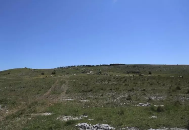 Jeudi 21 janvier, dans les locaux de la Safer Lozère à Mende a eu lieu le premier comité technique de l'année 2021. L'occasion de faire le bilan de l'année écoulée.