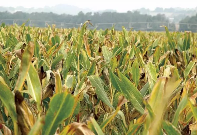 Les syndicats d'exploitants agricoles ont voté contre les taux d'indemnisation sécheresse et zonages définitifs retenus pour 17 départements, au CNGRA du 9 décembre, estimant que la proposition était trop éloignée des remontées de terrain. Cela, malgré une revalorisation inédite du taux d'indemnisation des pertes annoncée par le ministère de l'Agriculture.