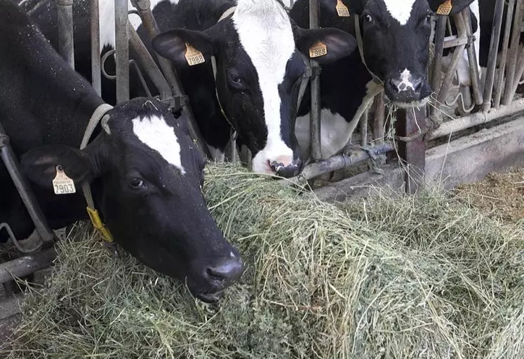 C'est à huis clos, sans déclaration publique, que les membres du gouvernement ont annoncé de premières aides d'urgence pour les agriculteurs bio susceptibles de se déconvertir.