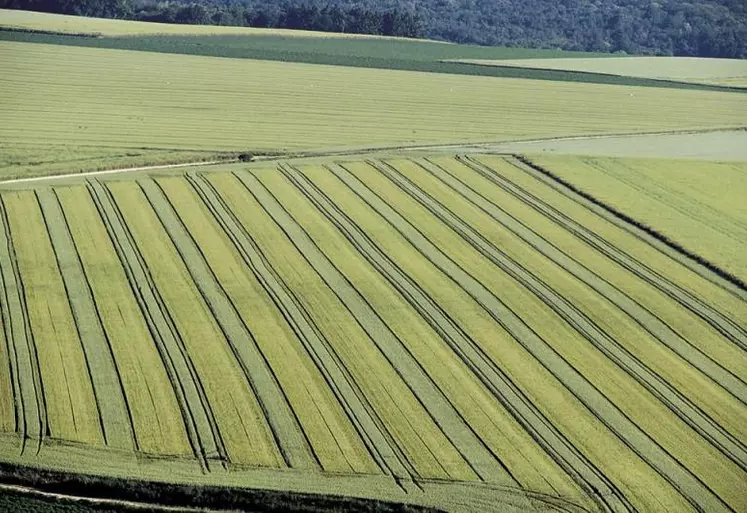 Dans le volet bio de la déclinaison française de la future Pac (PSN), le ministre de l'Agriculture avait donné la priorité aux conversions. Mais les contextes difficiles apparus depuis sur plusieurs marchés et les risques de déconversion associés interrogent a posteriori ce choix.