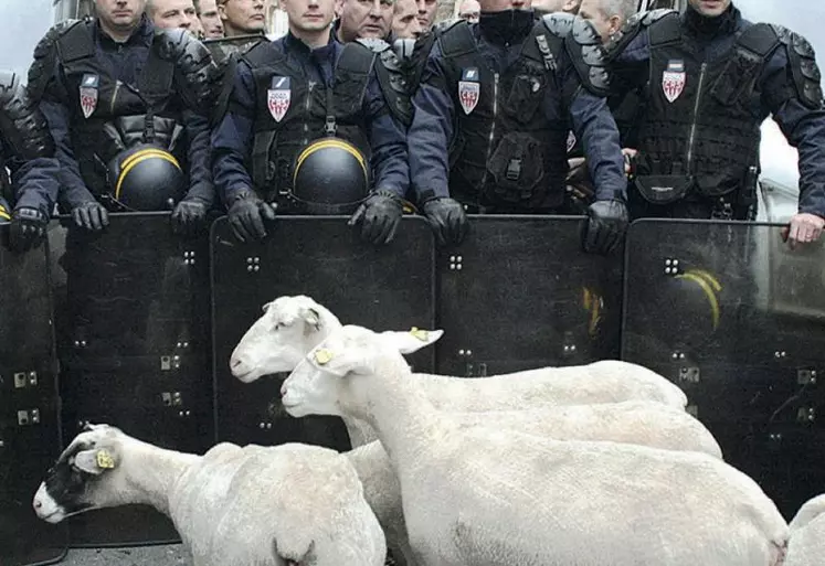 Les manifestations d’agriculteurs donnent parfois de bien étranges rencontres et les photographes ne se privent pas de les immortaliser.