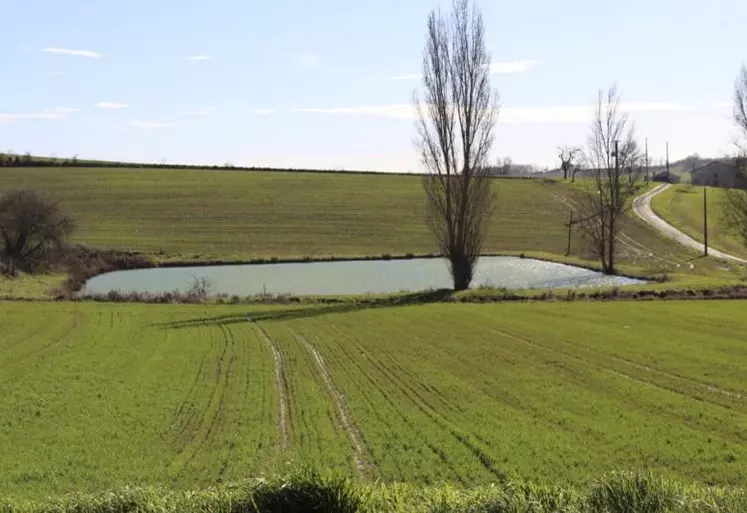 Le président de la République a présenté le 30 mars une cinquantaine de mesures visant à améliorer la gestion de l’eau dans l’Hexagone. L’agriculture n’aura pas à baisser ses prélèvements pour irriguer les cultures mais devra adapter ses installations au « climat de demain ».