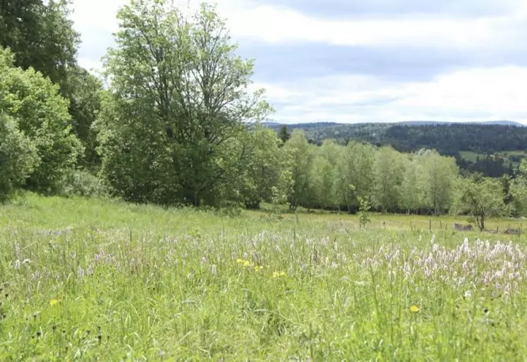 Lancés dans sept communes du parc de l'Aubrac, les atlas de la biodiversité communale fournissent des résultats encourageants sur la connaissance des espèces du territoire et des pratiques pour mieux les protéger. Bilan de trois ans d'activité.