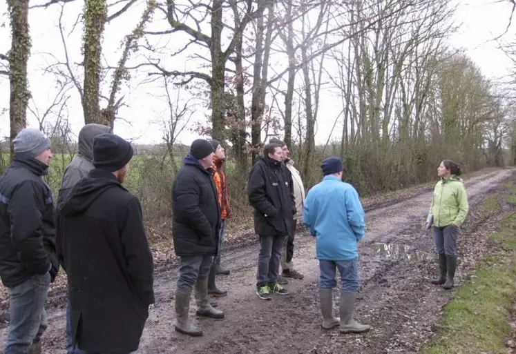 Sur les exploitations, les haies sont souvent considérées comme une contrainte. Mais elles présentent aussi des opportunités : des agriculteurs du département de l'Ain ont élaboré un programme d'action sur trois ans, chapeauté par une charte de gestion durable du bois.