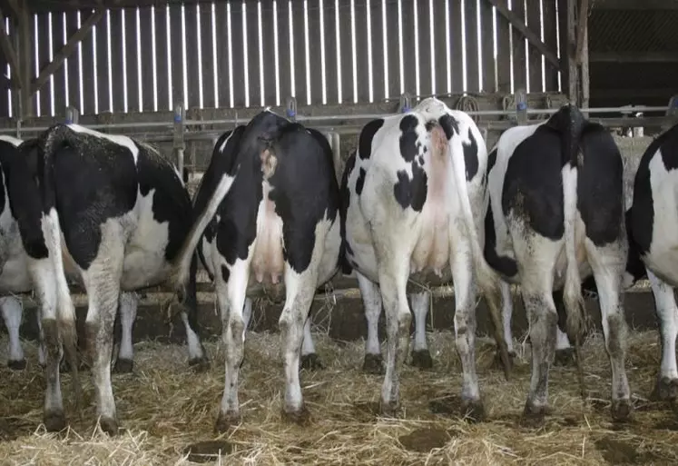 Le Net'traite est un diagnostic réalisé par les techniciens de la chambre d'agriculture, qui vient en complément de l'Opti'traite.