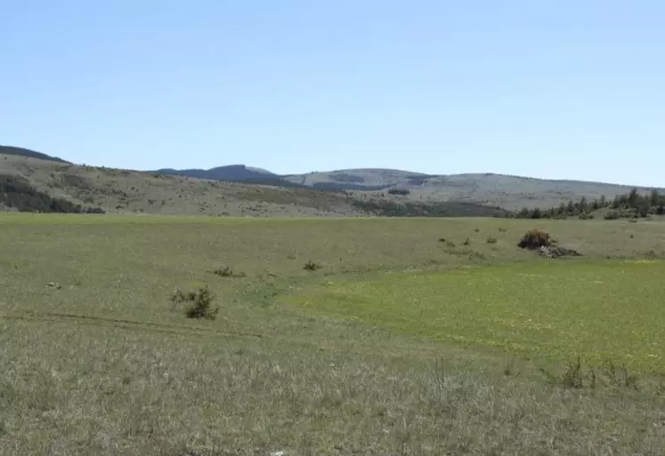 Il y a 20 ans déjà, un teknival était organisé sur le causse Méjean. Retour sur un phénomène régulier, existant dans un vide législatif.