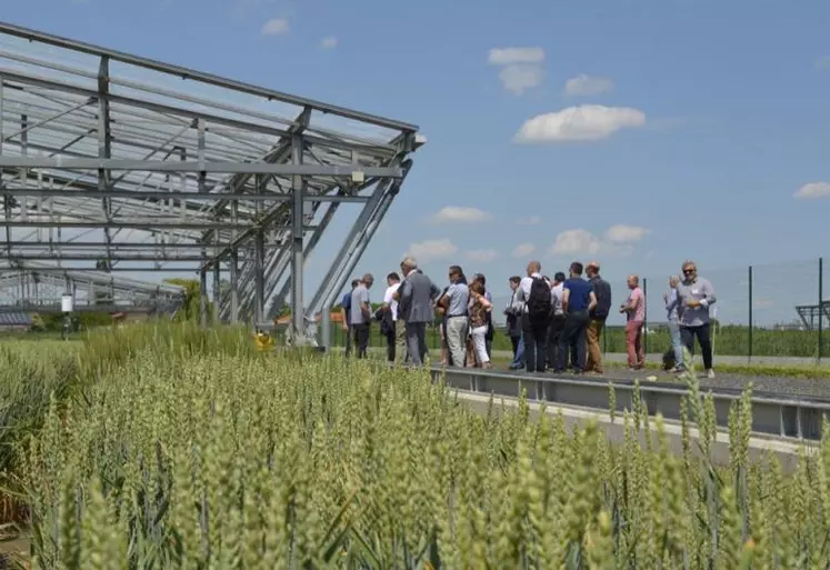 Les membres du Gnis devant le dispositif Phéno3C à l'Inra de Crouël (63), où sont étudiés les comportements de différentes variétés de blés, face à des conditions prédictives du changement climatique.