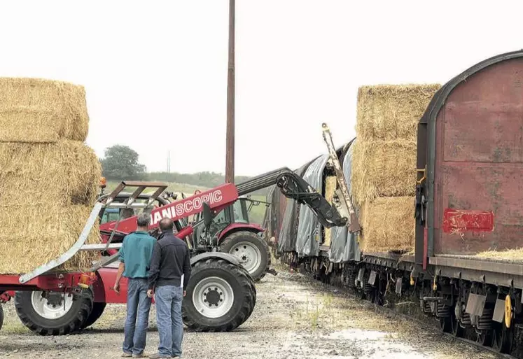 Le monde agricole s’est depuis toujours organisé autour de la notion de « faire ensemble ». Le numérique multiplie le champ des possibles en la matière.