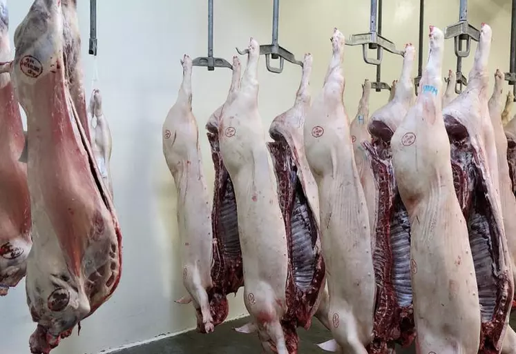 L’abattoir de Langogne traite à 70 % du porc pour un volume total de 4 000 tonnes par an. Cependant, c’est un abattoir multi-espèces.