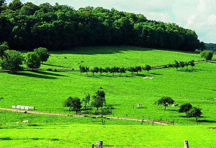 Le secteur de l'agriculture biologique fait face à de grandes difficultés à la fois conjoncturelles avec les conséquences de la guerre en Ukraine, et structurelles, du fait d'un recul de la consommation des produits issus de l'agriculture biologique.