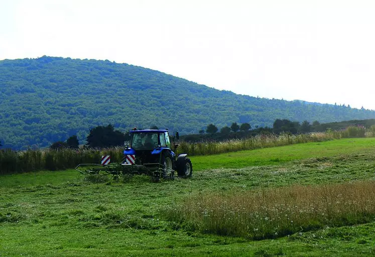 Le résultat net agricole français est en progression de 15,5 % sur un an.